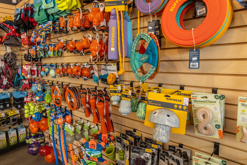 Dog Toys