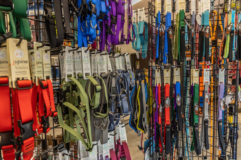 Collars/Leashes/Harnesses