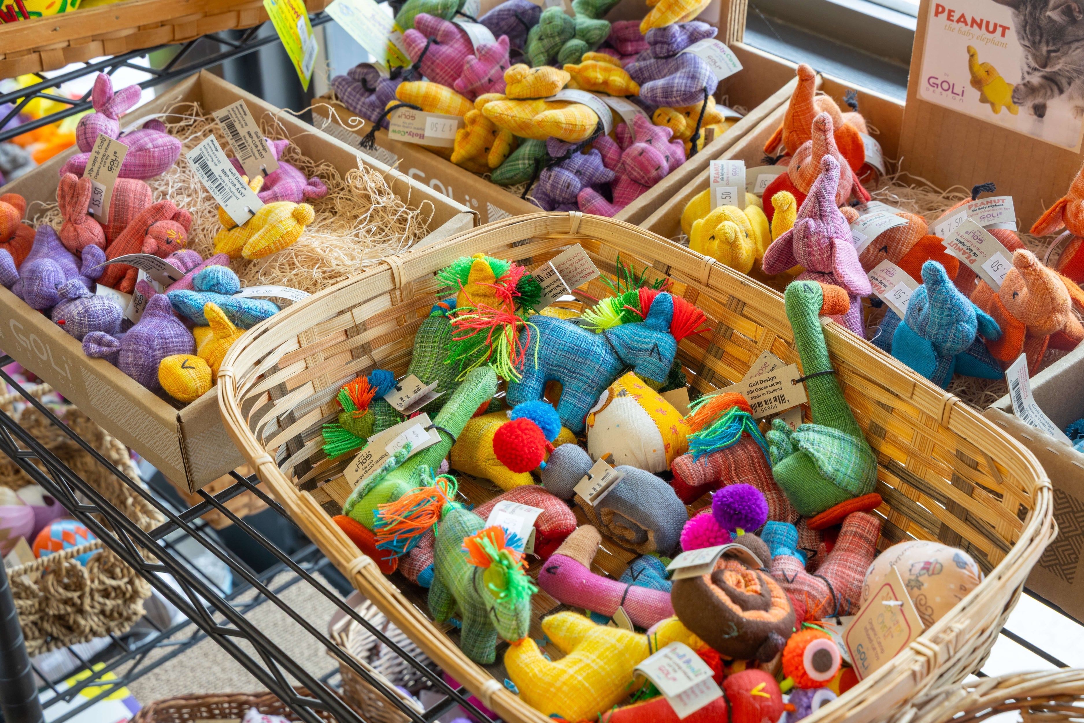 Cat Toys