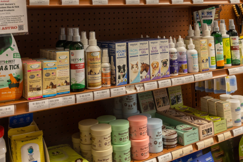 Ear Health